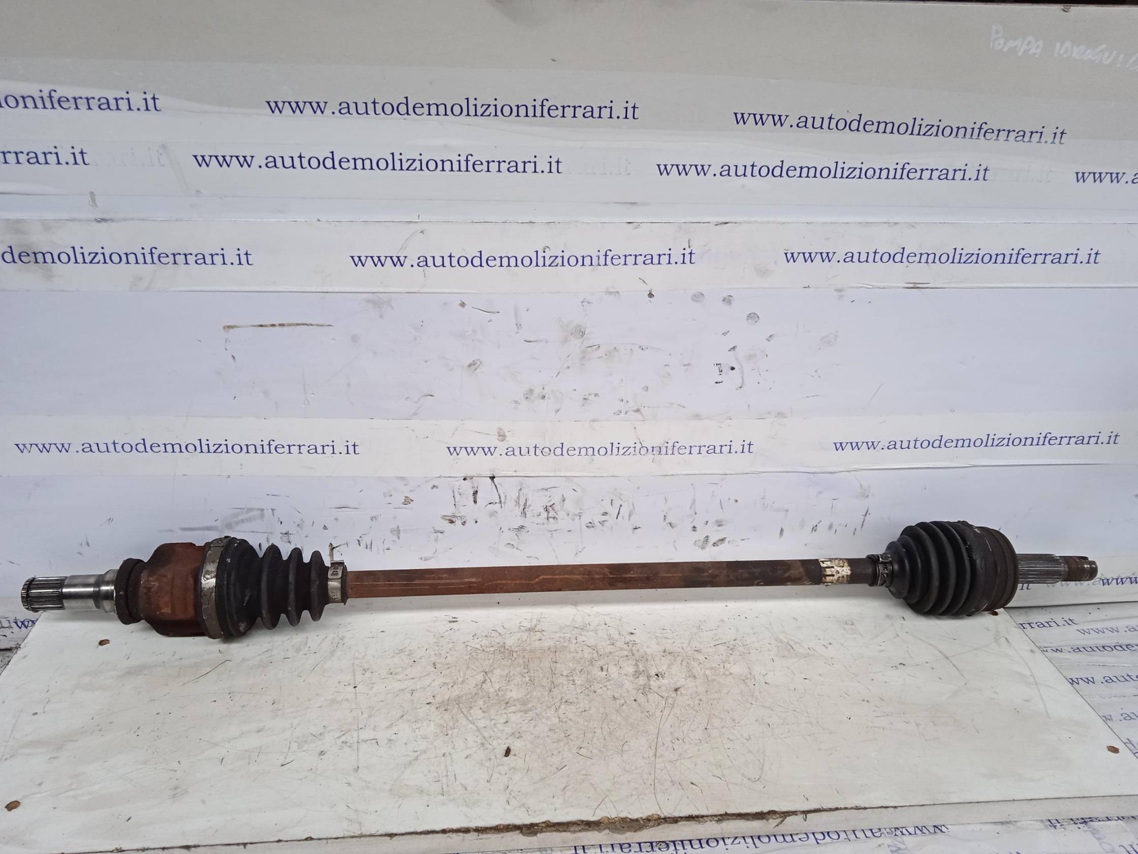 Semialbero ant. compl. dx.